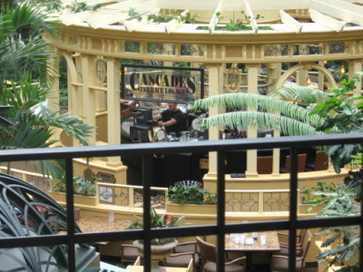 Opryland Hotel2